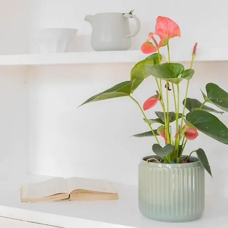 Апартаменты Governo